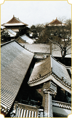 三孔古建，传承中国文化